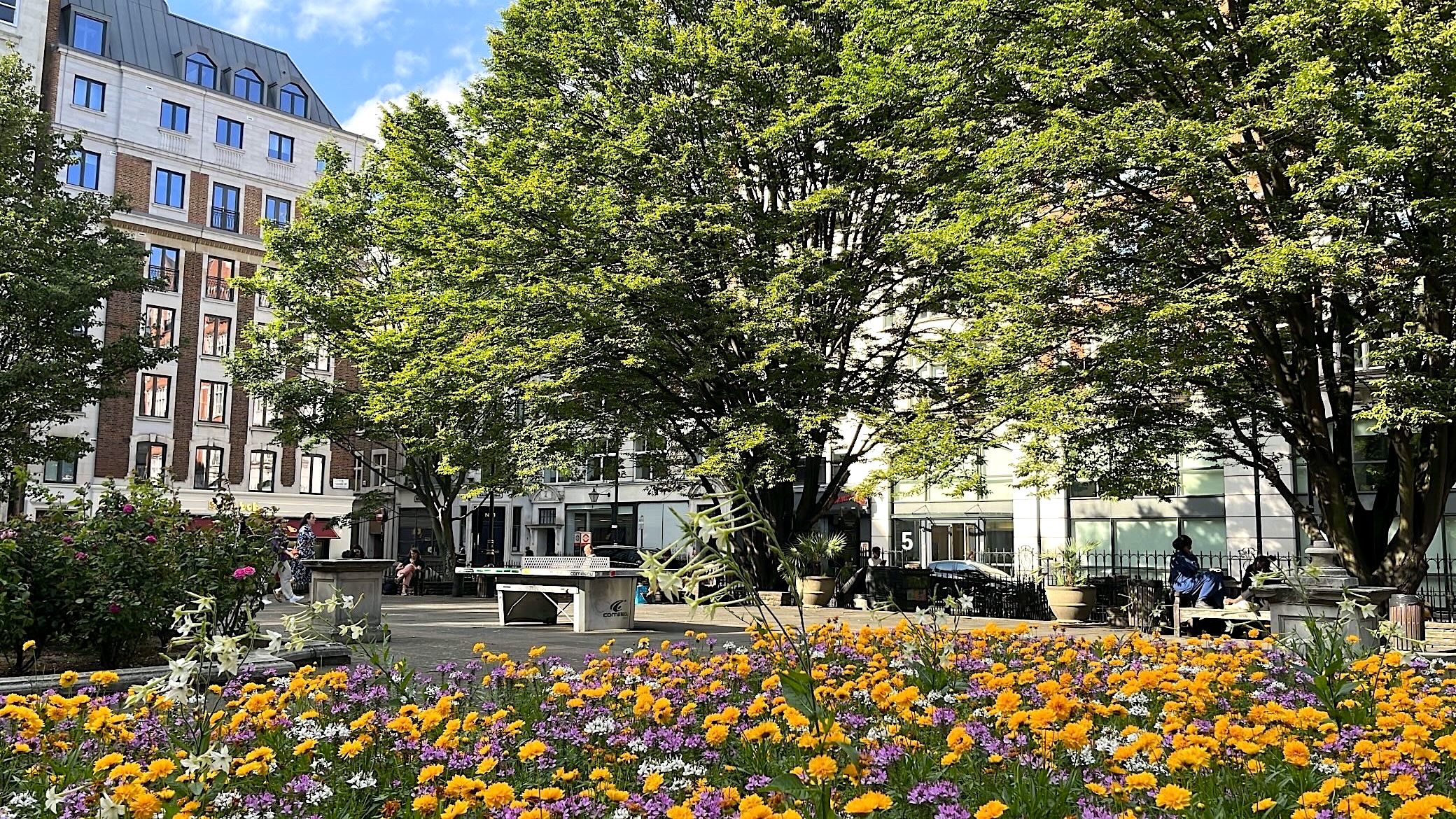 A picture of Golden Square in London, featuring beautiful blooming flowers.